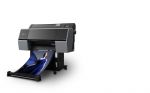 Epson Plotter SureColor SC-P7500 (24 pollici) 